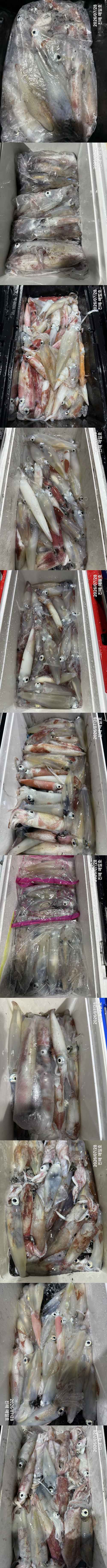 왕한치2.jpg