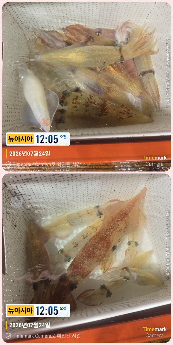 KakaoTalk_20260724_044525737-down.jpg