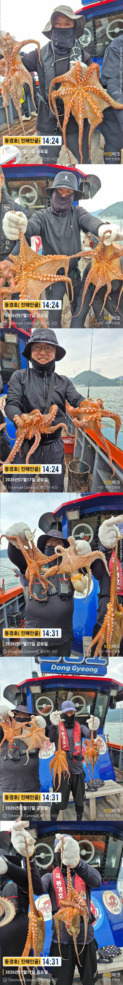 돌문어 26-7-17-2.jpg