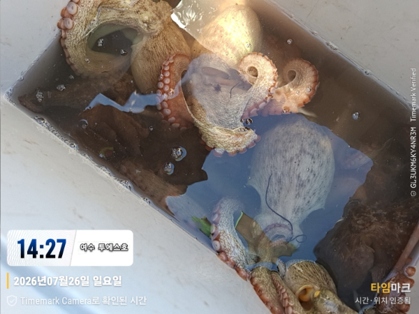 KakaoTalk_20260727_172415390.jpg