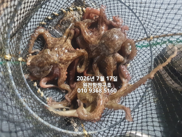 KakaoTalk_20260717_024404082_05.jpg