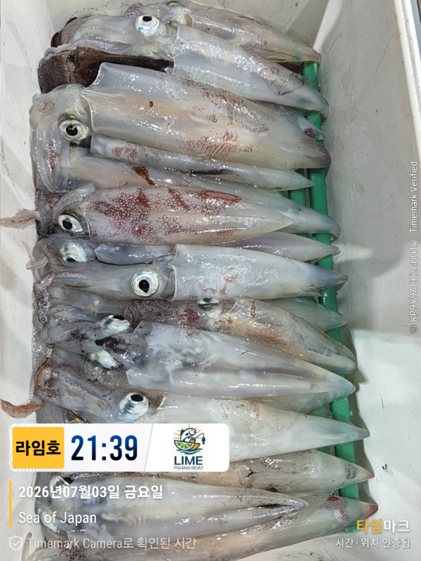 KakaoTalk_20260704_073411723_14.jpg