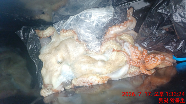 KakaoTalk_20260717_234848670_21.jpg