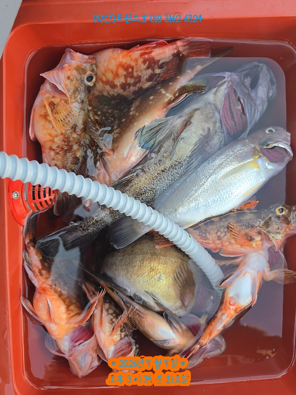 1000007969.jpg