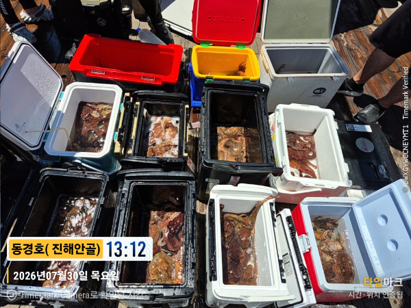 2026-07-30 13.12.22__(제목-동경호( 진해안골)).jpg