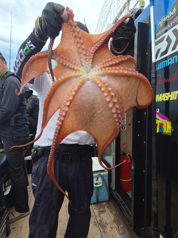 BandPhoto_2026_07_13_11_10_06.jpg