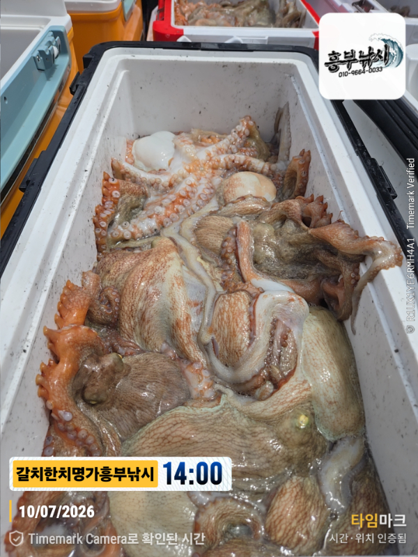 2026-07-10 14.00.12__(제목-갈치한치명가흥부낚시).jpg
