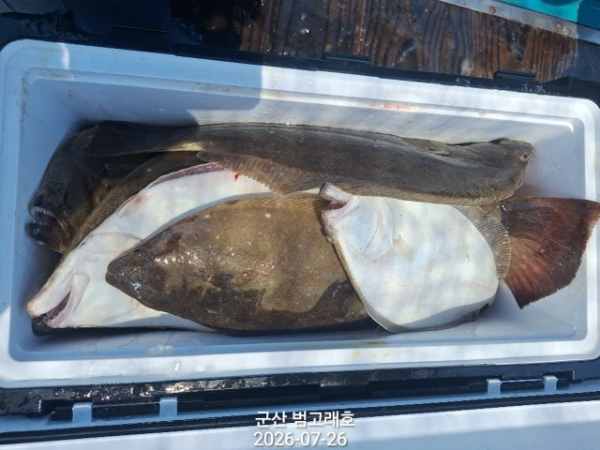KakaoTalk_20260726_144651938_01.jpg