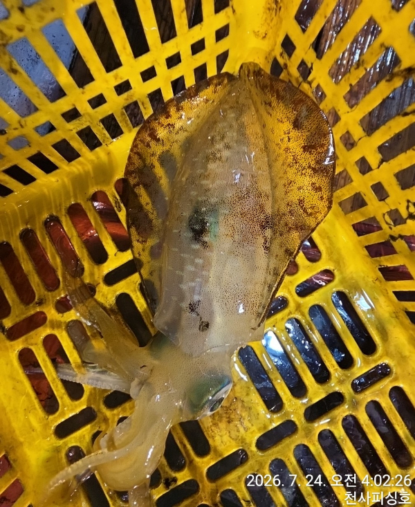 1004피싱_사진_20260724_14.jpg
