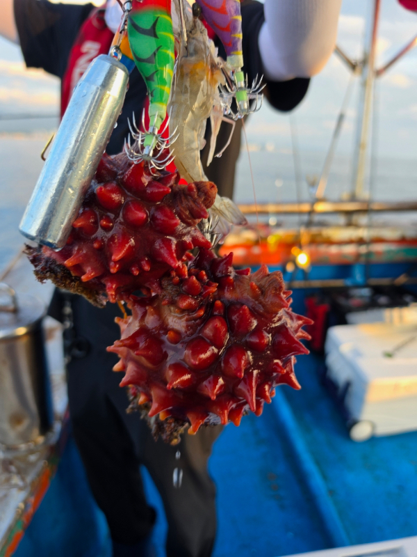 93C498D1-7278-4D57-A4CA-B6627D254E17.jpeg