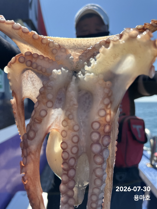 IMG_6504.jpeg