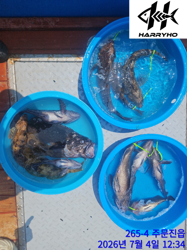 KakaoTalk_20260704_173600460_11.jpg