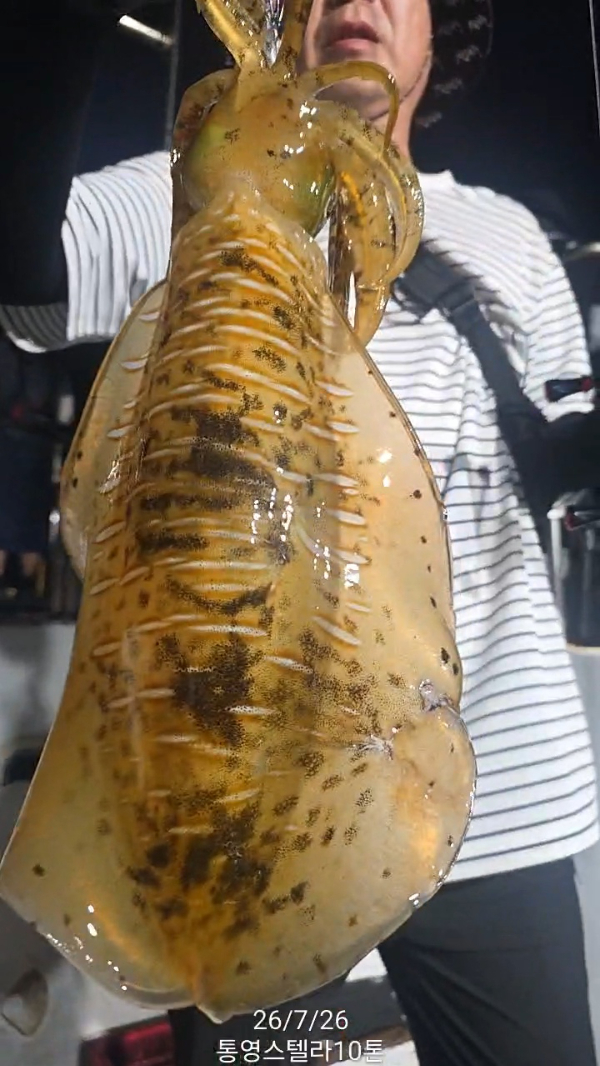 TimeVideo_20260726_201028.jpg