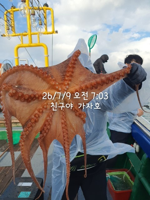 1000061410.jpg