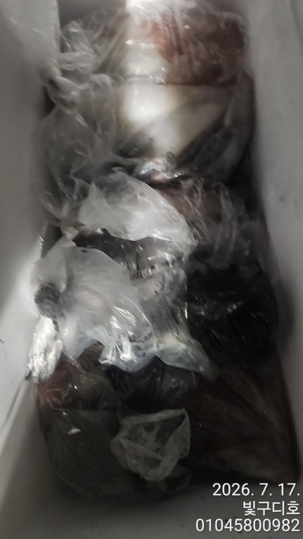 5185.jpg