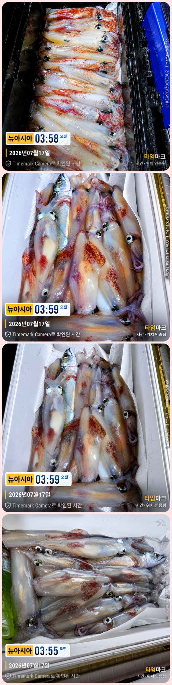 KakaoTalk_20260717_062438083_01-down.png