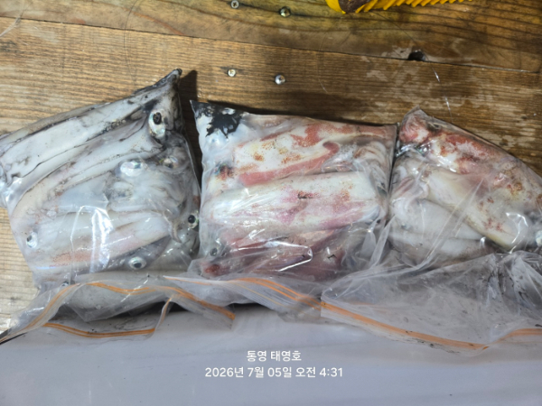 KakaoTalk_20260705_065358279_15.jpg