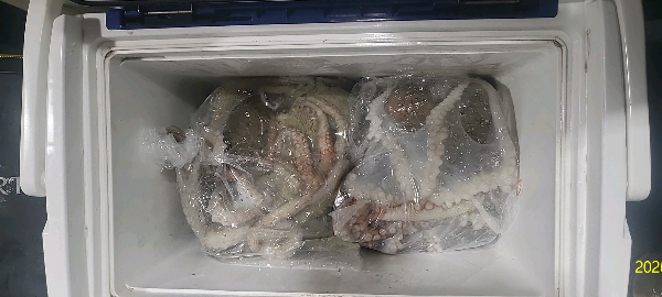 DateCamera0712224654.jpg