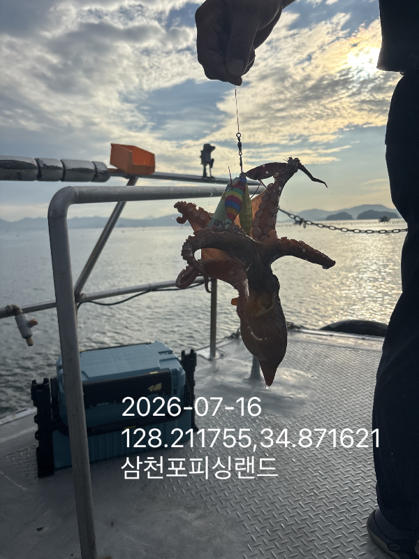 IMG_5675.jpeg