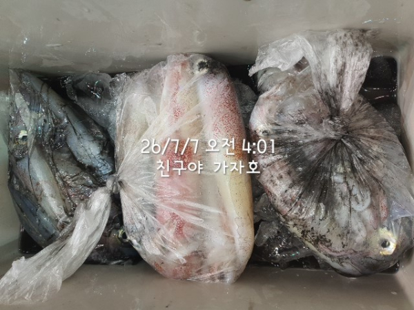 1000061192.jpg