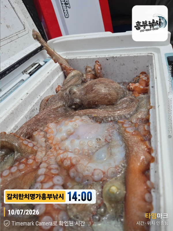 2026-07-10 14.00.22__(제목-갈치한치명가흥부낚시).jpg
