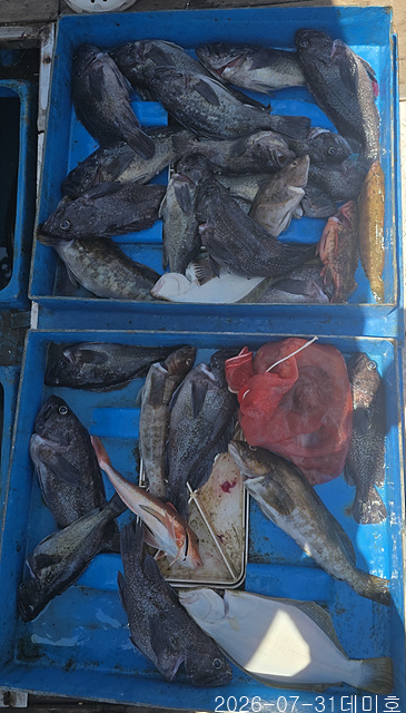 KakaoTalk_20260731_194243252_13.jpg