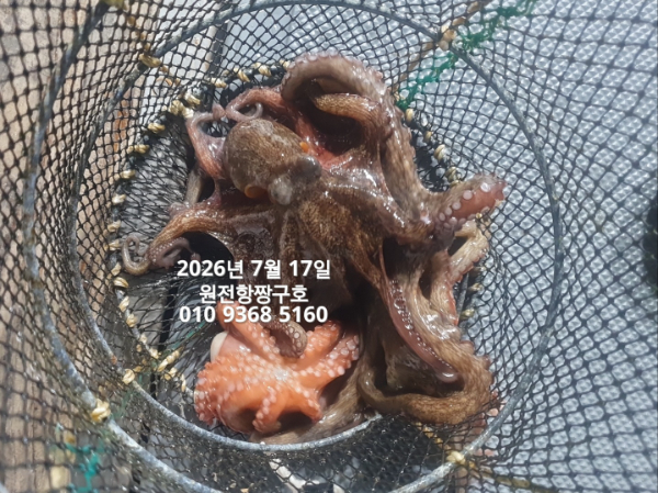 KakaoTalk_20260717_024455612_06.jpg
