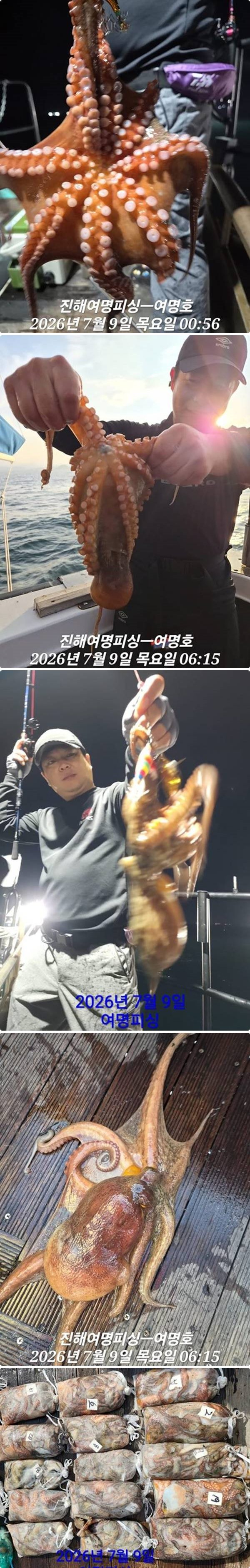 문어중.jpg