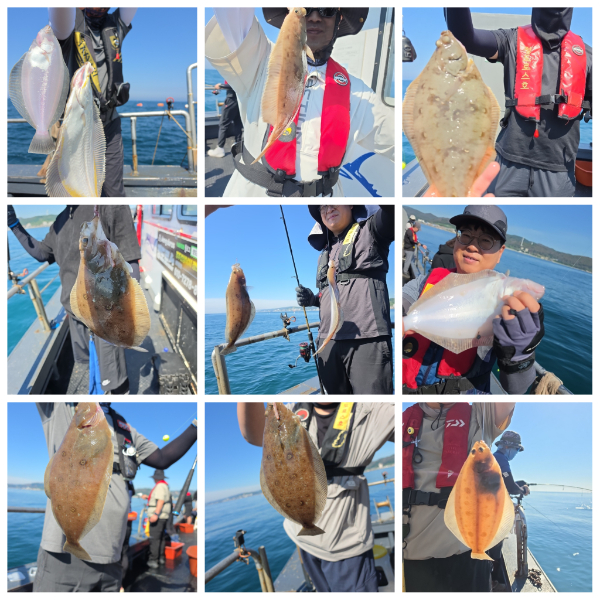 PhotoCollage_1783664167289.jpg