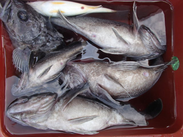 201.JPG