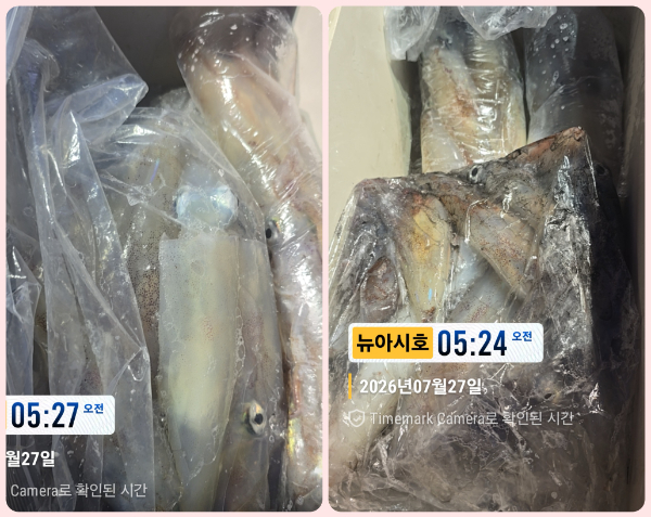 KakaoTalk_20260727_085119965_02-tile.jpg