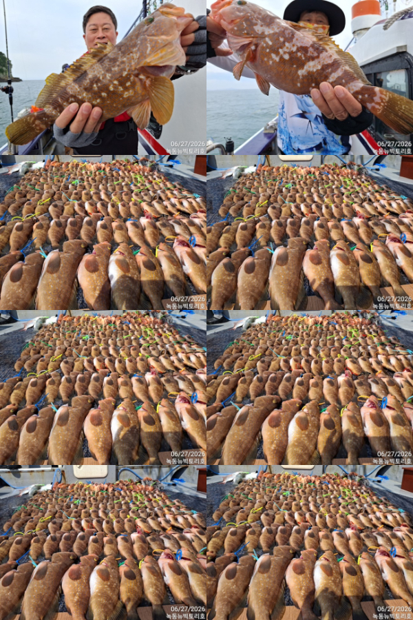36-tile.jpg