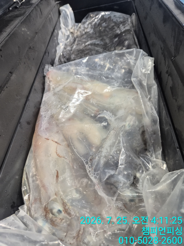 BandPhoto_2026_07_25_10_28_41_2.jpg