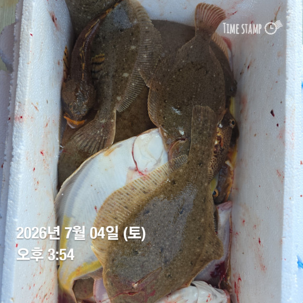 공현진낚시마트(돌핀호)_사진_20260704_10.jpg
