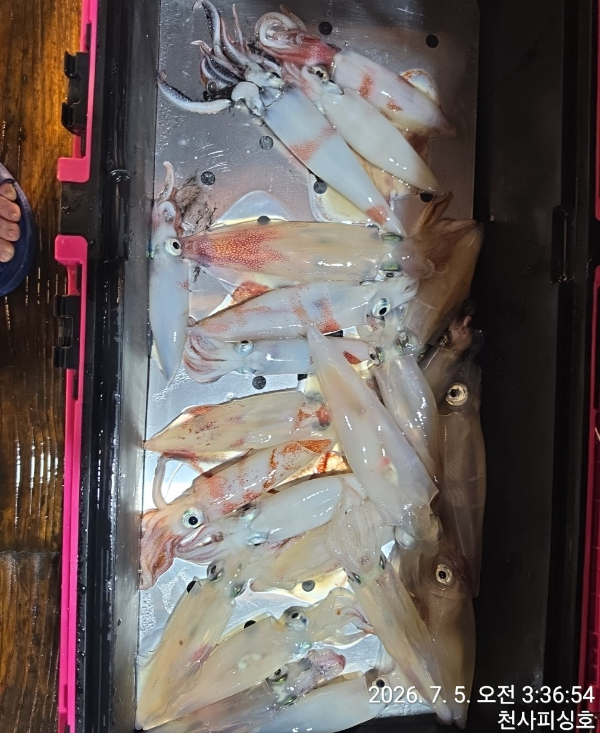 1004피싱_사진_20260705_11.jpg
