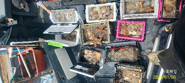 DateCamera0709112742.jpg
