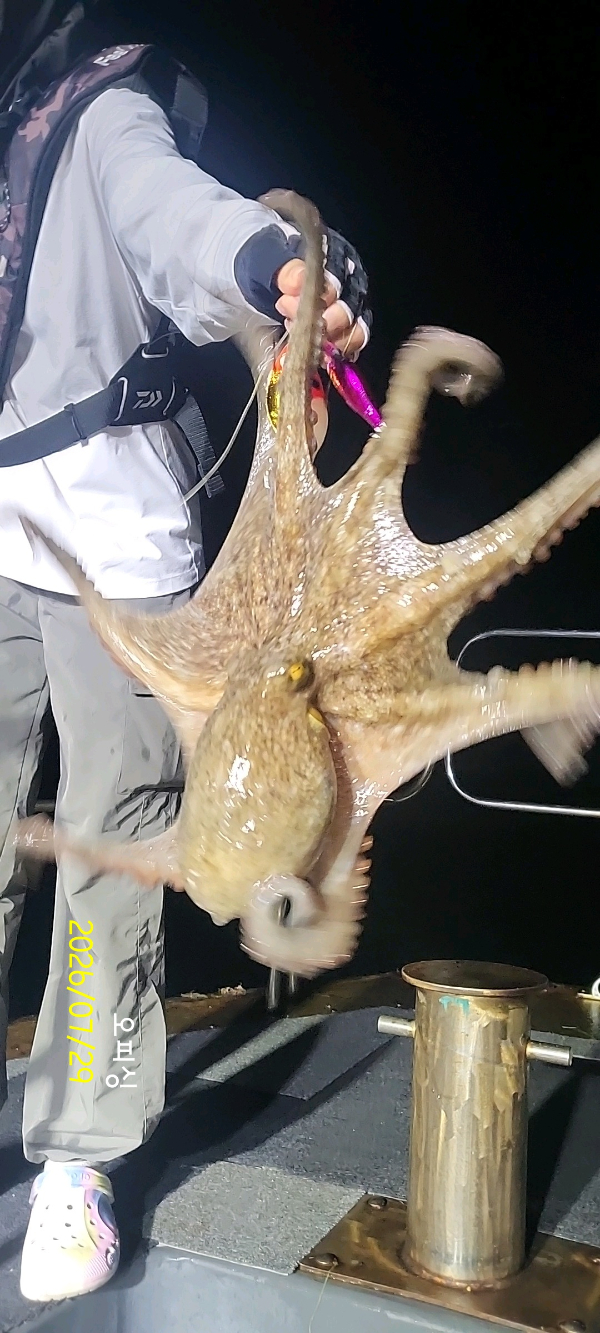 DateCamera0729022525.jpg
