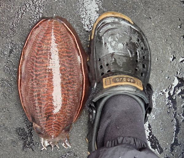 20111.jpg