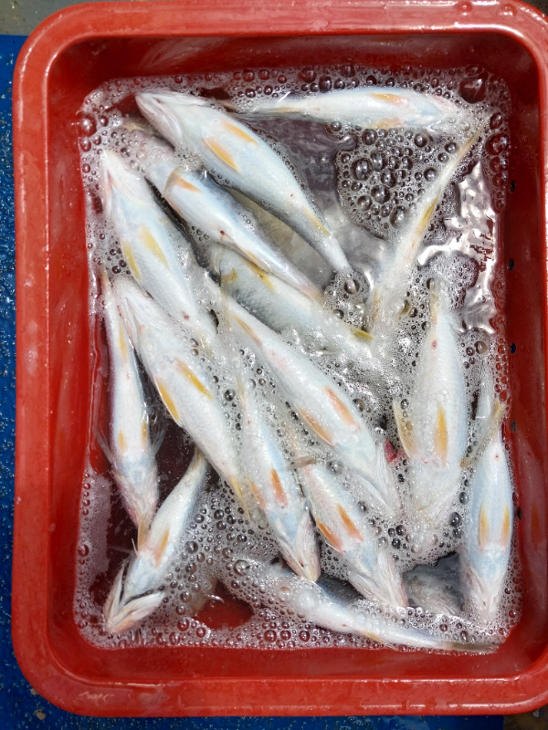 KakaoTalk_20260725_142137163_16.jpg