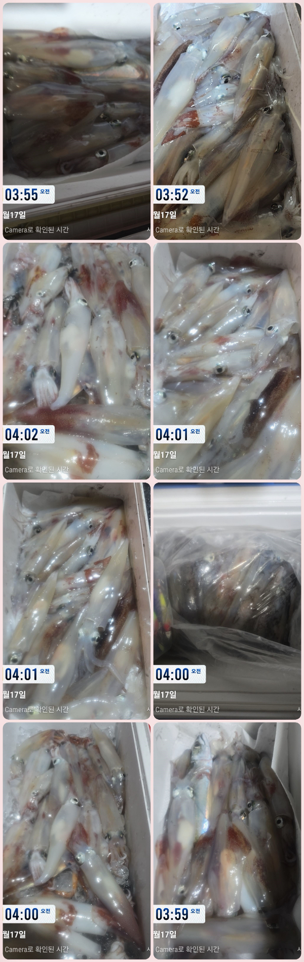 KakaoTalk_20260717_060510414_27-tile.jpg