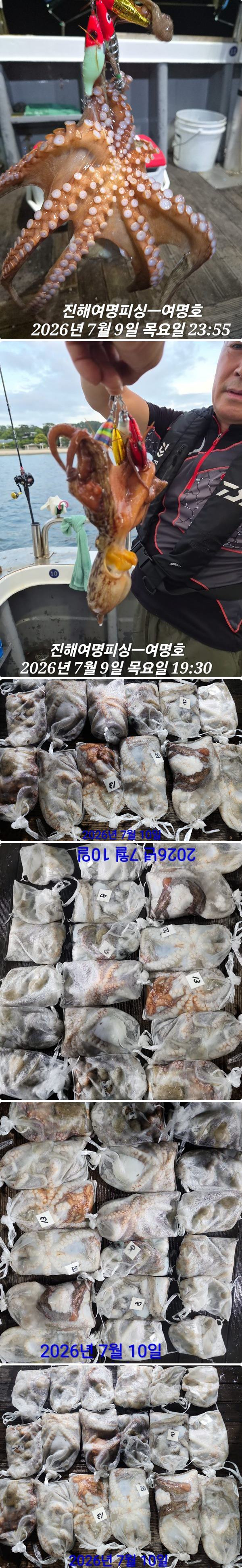10일문어중.jpg
