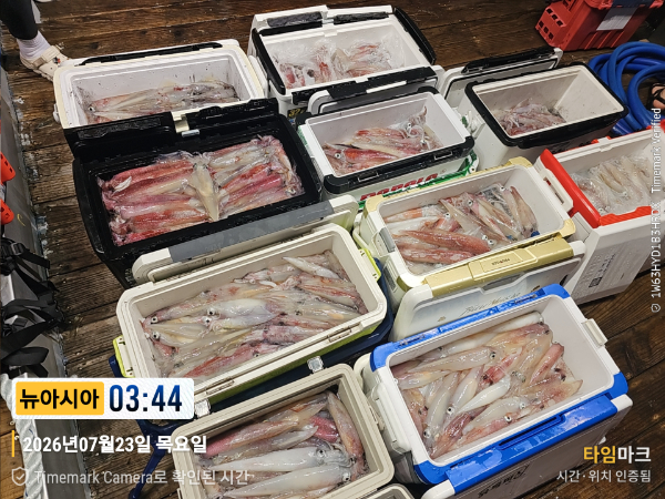 KakaoTalk_20260723_051554602_14.jpg