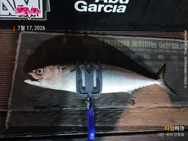 나만의밴드♥_사진_20260718_17.jpeg