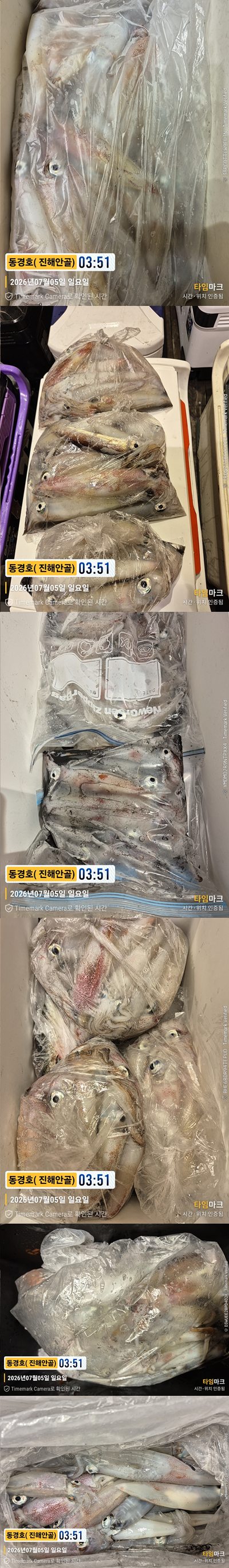 한치 26-7-4-4.jpg