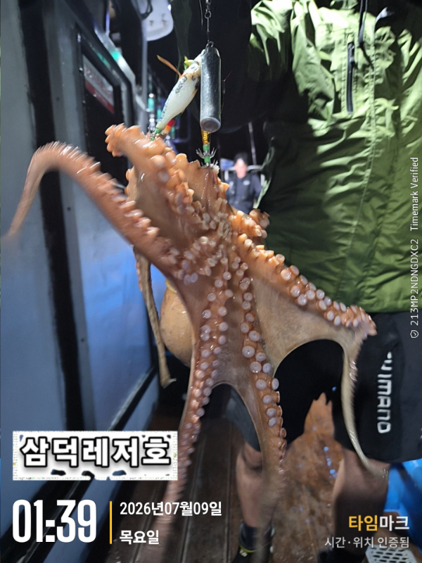 36727.jpg