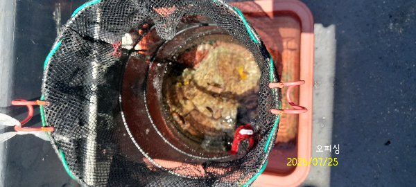 DateCamera0725131930.jpg