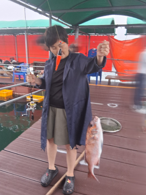 68519.jpg