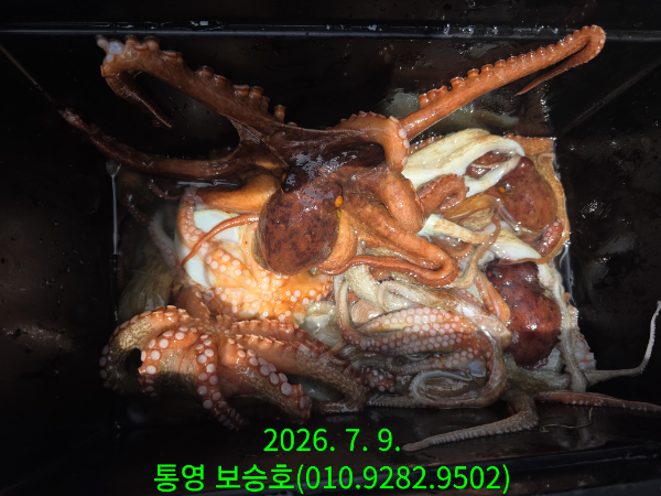 17019.jpg