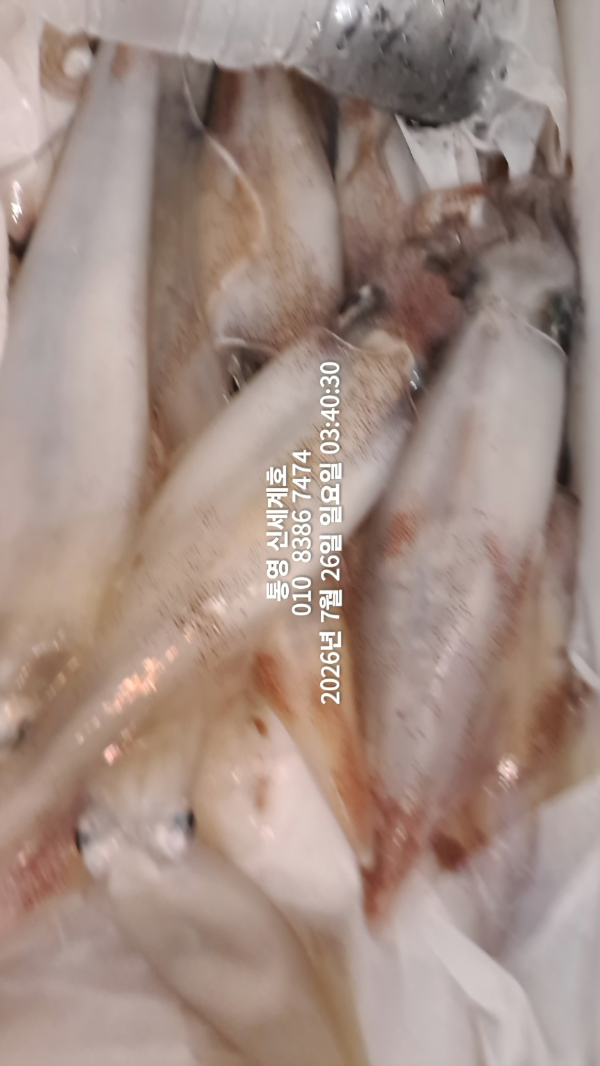 1785015074206.jpg