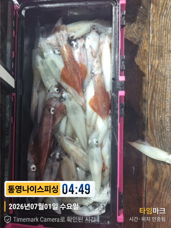 2026-07-01 04.49.59__(제목-통영나이스피싱).jpg